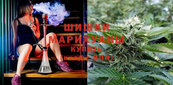 шишки Баксан