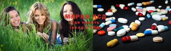 шишки Баксан