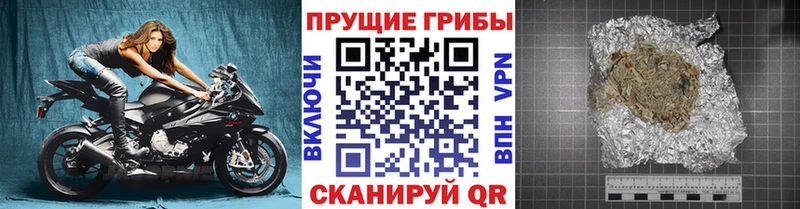 mega вход  Кола  Псилоцибиновые грибы прущие грибы 